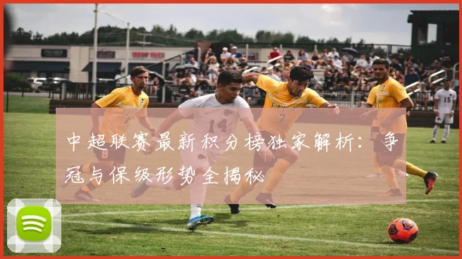 中超联赛最新积分榜独家解析:争冠与保级形势全揭秘