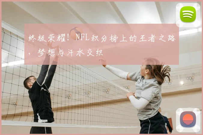 终极荣耀!NFL积分榜上的王者之路,梦想与汗水交织
