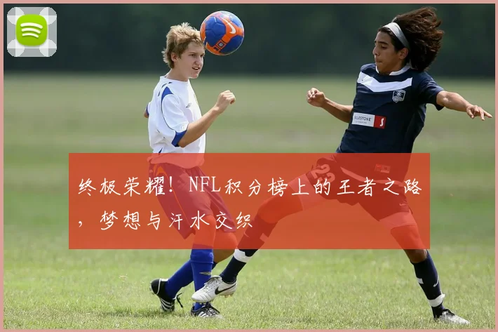 终极荣耀！NFL积分榜上的王者之路，梦想与汗水交织